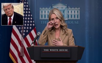 White House press access